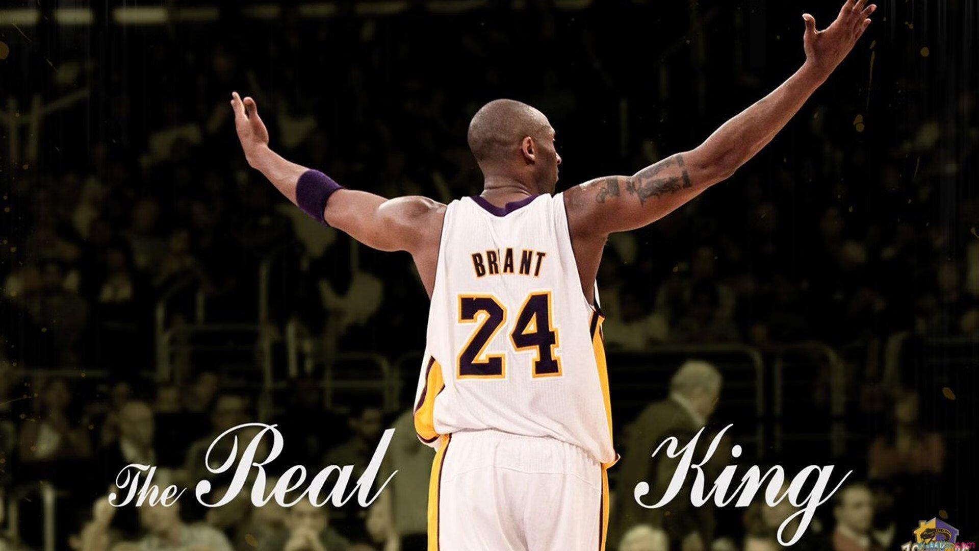 国家体育总局发布新政策,推动全民健身与竞技体育协同发展